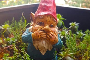 Garden-gnome