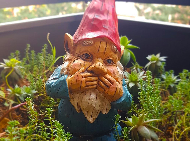 Garden-gnome